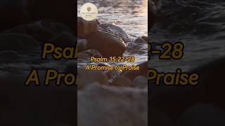 A Promise to Praise Psalm 35Verses 2228 [upl. by Lulu923]