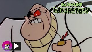 Dexters Laboratory  Photo Finish  Cartoon Network [upl. by Newnorb]