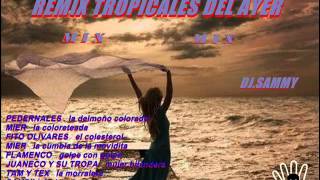 REMIX TROPICALES DEL AYER MIX DJ SAMMY [upl. by Deeanne237]