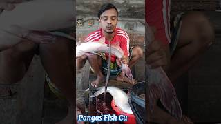 Incredible Giant Pangas Fish Cutting Techniques  Fish Cutting Skills [upl. by Animrelliug]