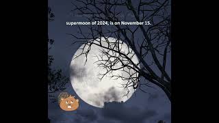 Moon Phases November 2024 [upl. by Sibyls]