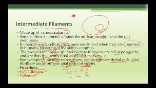 PHYSIOLOGY LECTURE 2024 PART 2 complete [upl. by Ramraj]