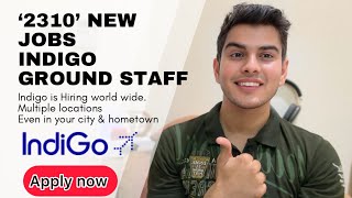 Indigo Ground staff Jobs  Indigo is hiring  Latest Airport Jobs [upl. by Australia374]