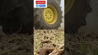 MAMMA MIA Trebbiatura soia con johndeere e testata soia hydraflex soybean [upl. by Aerahs]