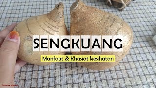 Sengkuang Manfaat amp Khasiat Kesihatan  Pachyrhizus erosus  Natural Vitamin C [upl. by Silado257]