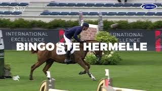 Horse of the Week Valkenswaard  Bingo Ste Hermelle [upl. by Llevart]