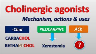 Cholinergic agonists  Mechanism actions side effects amp uses [upl. by Marmaduke688]