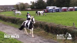 AIRC National Hunter Trials Championships 2017 [upl. by Cherey365]