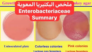 ملخص البكتيريا المعوية Enterobacteriaceae Summary [upl. by Adrianne458]