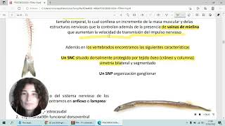 Tema 9 Filogenia del sistema nervioso UNED PSICOBIOLOGIA [upl. by Henryk514]