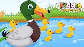 Five Little Ducks  KiddieCartoonLandOffical  Nursery Rhymes amp Kids Songs [upl. by Seiuqram490]