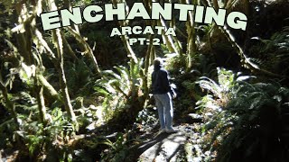 Flog 7 Enchanting Arcata Pt2 [upl. by Bartholomew476]