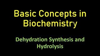 Basic Concepts in Biochemistry  Dehydration synthesis and Hydrolysis [upl. by Eicarg]