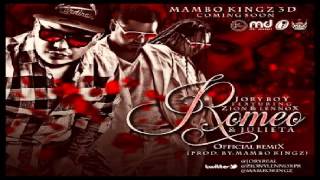 Romeo amp Julieta Remix  Jory Ft Zion amp Lennox Original ★Reggaeton 2013★ [upl. by Quartus]