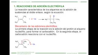 Adiciones Electrófilas a Alquenos [upl. by Darrej]