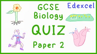 GCSE Biology Paper 2 Quiz Edexcel [upl. by Alake]