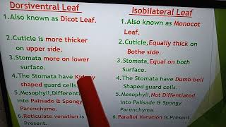 Difference between Dorsiventral and Isobilateral Leaf [upl. by Nnyl]