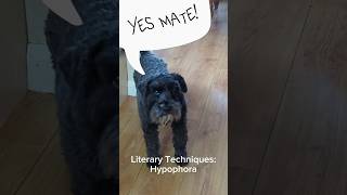 Literary Techniques Hypophora dog tinydawg [upl. by Ailad]