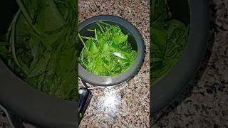 Healthy and tasty breakfast recipe recipe cooking food easyrecipe palakrecipe 🥬🥬🥬🥬😋😋😋 [upl. by Beichner]