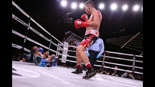 Pablo Cesar Cano vs Jorge Linares  Knockout Highlights 🇲🇽🇻🇪 [upl. by Simonette]