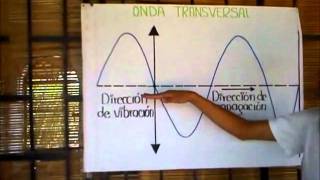 Ondas transversales [upl. by Yhtir]