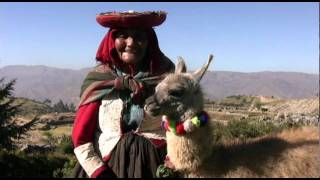 The Cuddly Camelids of Peru [upl. by Ttayh]