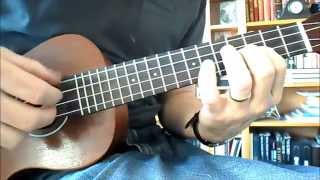 Irish Ukulele The Blarney Pilgrim [upl. by Ybocaj]