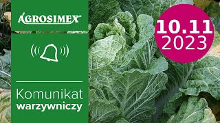 Jak zwiększyć zawartość próchnicy  komunikat warzywniczy  Agrosimex [upl. by Inaffyt]