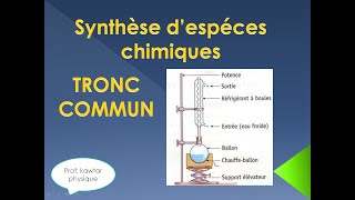 synthèse despèces chimiques TRC [upl. by Malva927]