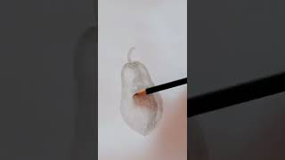 how to draw papaya step by step  how to draw a papaya easy [upl. by Ymmac]