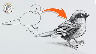 how to draw a bird easy  dessin doiseau  dibujo de pájaro  pencil drawing  رسم طائر  رسم [upl. by Attenaej]