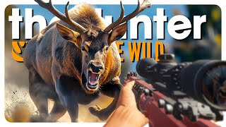 DESTROYING Australias DEER population ᵒⁿᵉ 🥜 ᵃᵗ ᵃ ᵗⁱᵐᵉ  theHunter Call of the Wild [upl. by Marzi]