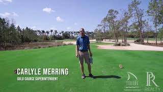 Tips from the Pro Should I replace divots on tee boxes  Episode 008 [upl. by Euqinamod]