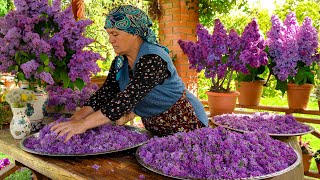 Fresh Spring Lilacs Picking How to Preserve the Scent of Spring 🌿 [upl. by Bittner]