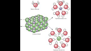 Water and electrolyte metabolism [upl. by Aierb456]