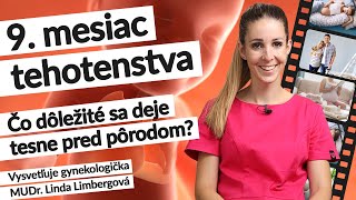 9 mesiac tehotenstva 36–40 tt  Tehotenstvo týždeň po týždni tehotenstvo [upl. by Alboran816]