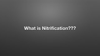 What is Nitrification [upl. by Czarra]