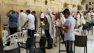 Davening at the Western Wall [upl. by Notliw]