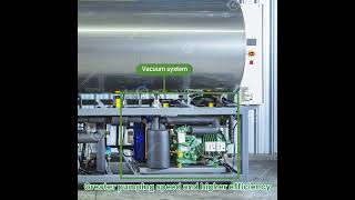 Efficient Industrial Fruit amp Food Vacuum Freeze Drying Machine  Gondor Machinery 🚀 foodprocessing [upl. by Darees688]