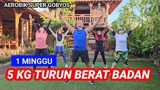 AEROBIK PENURUNAN BERAT BADAN SUPER CEPAT [upl. by Eugor]