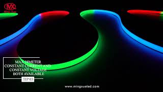 1616 RGB Neon Strip [upl. by Glick]