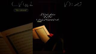 Qurani Ayaat shorts quran trending viralvideo islamicquotes islamictext quotes islamicstatus [upl. by Marilou]