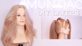 Layered Haircut  DIY 3 Simple Steps [upl. by Ariahay]