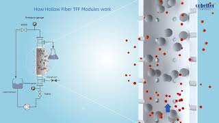 Cobetter Hollow Fiber TFF Modules [upl. by Ahtar]