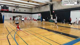 14UBlack  Premier 3  Div 2 RR3 vs Calgary Dinos [upl. by Assennav362]