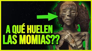 😨💥 Recrean el OLOR de una MOMIA EGIPCIA 🧟‍♀️  Egiptomanía Alba [upl. by Sucramal410]