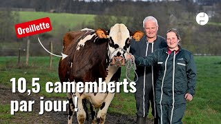 Ce quil faut savoir sur Oreillette la vache normande égérie du Salon de lAgriculture [upl. by Diver982]