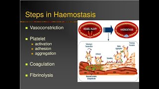 Process of haemostasis and its various stages [upl. by Anaed659]