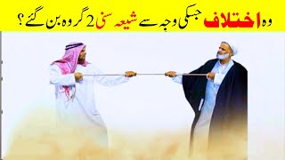 Main difference between Shia and Sunni Muslims  5Minut Info [upl. by Adamok]