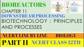 PART11 BIOREACTORSDOWNSTREAM PROCESSINGCLASS 12TH BIOLOGY CHAPTER 11 NCERT [upl. by Domonic]